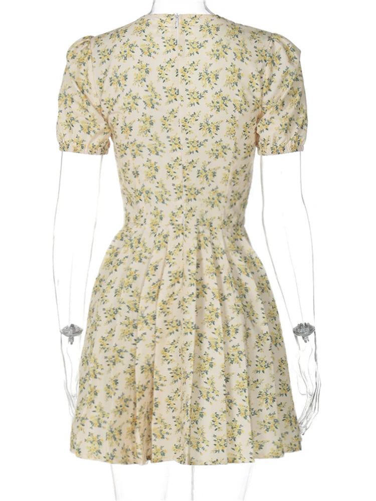 Sexy Deep V Neck Women’s Dresses 2025 Summer Fashion A-line Dress Female High Waist Pleated Printed Beach Party Dresses