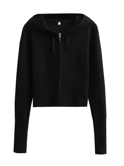 Trendy Knit 2-Piece Set: Women’s Hoodie Tracksuit & Crop Top Knitwear Pants
