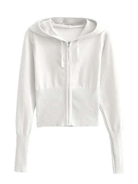 Trendy Knit 2-Piece Set: Women’s Hoodie Tracksuit & Crop Top Knitwear Pants