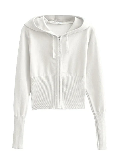Trendy Knit 2-Piece Set: Women’s Hoodie Tracksuit & Crop Top Knitwear Pants