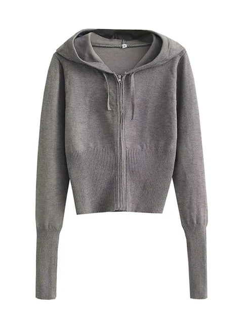 Trendy Knit 2-Piece Set: Women’s Hoodie Tracksuit & Crop Top Knitwear Pants