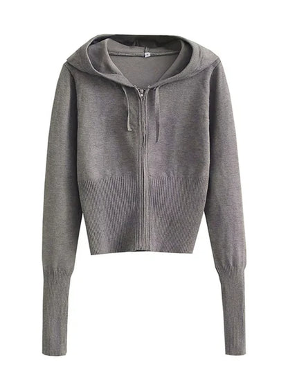 Trendy Knit 2-Piece Set: Women’s Hoodie Tracksuit & Crop Top Knitwear Pants