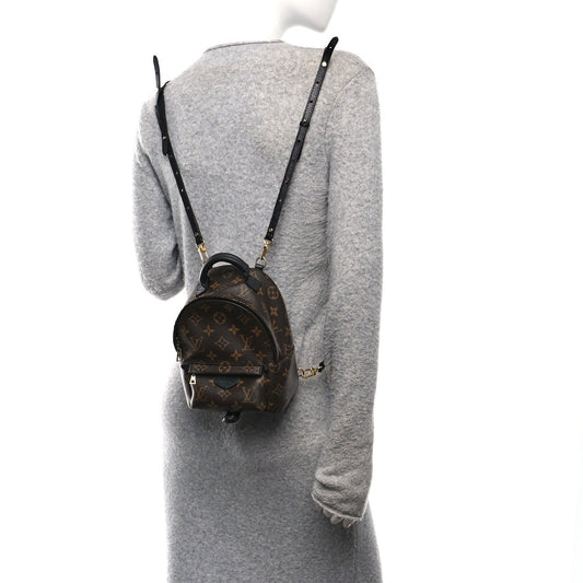 Monogram Palm Springs Backpack Mini