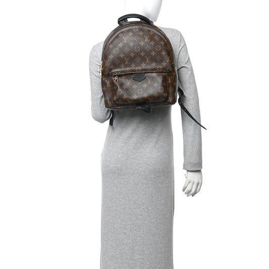 Monogram Palm Springs Backpack MM
