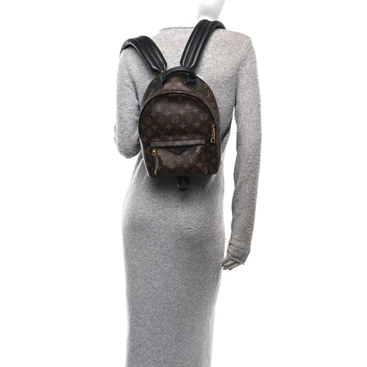 Monogram Palm Springs Backpack PM