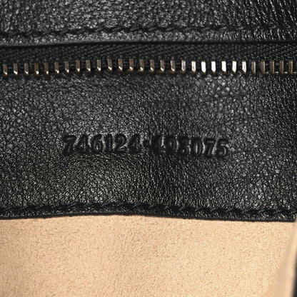 Softy Wonka Textured Dollar Calfskin Medium Diana Shoulder Bag Black