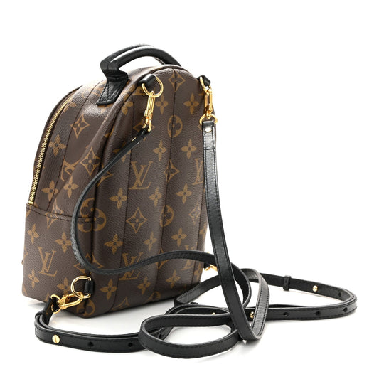 Monogram Palm Springs Backpack Mini