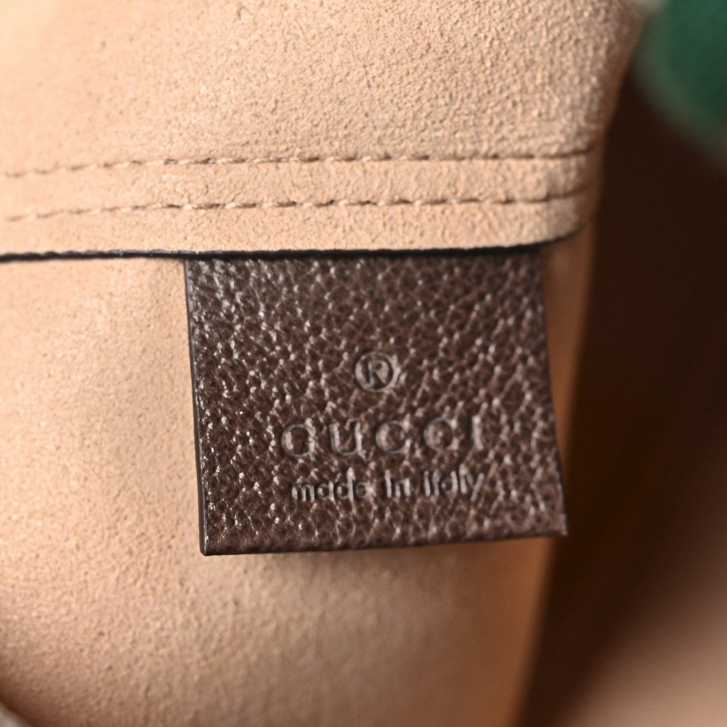GG Supreme Monogram Web Ophidia Vertical Front Pocket Shopping Tote Brown