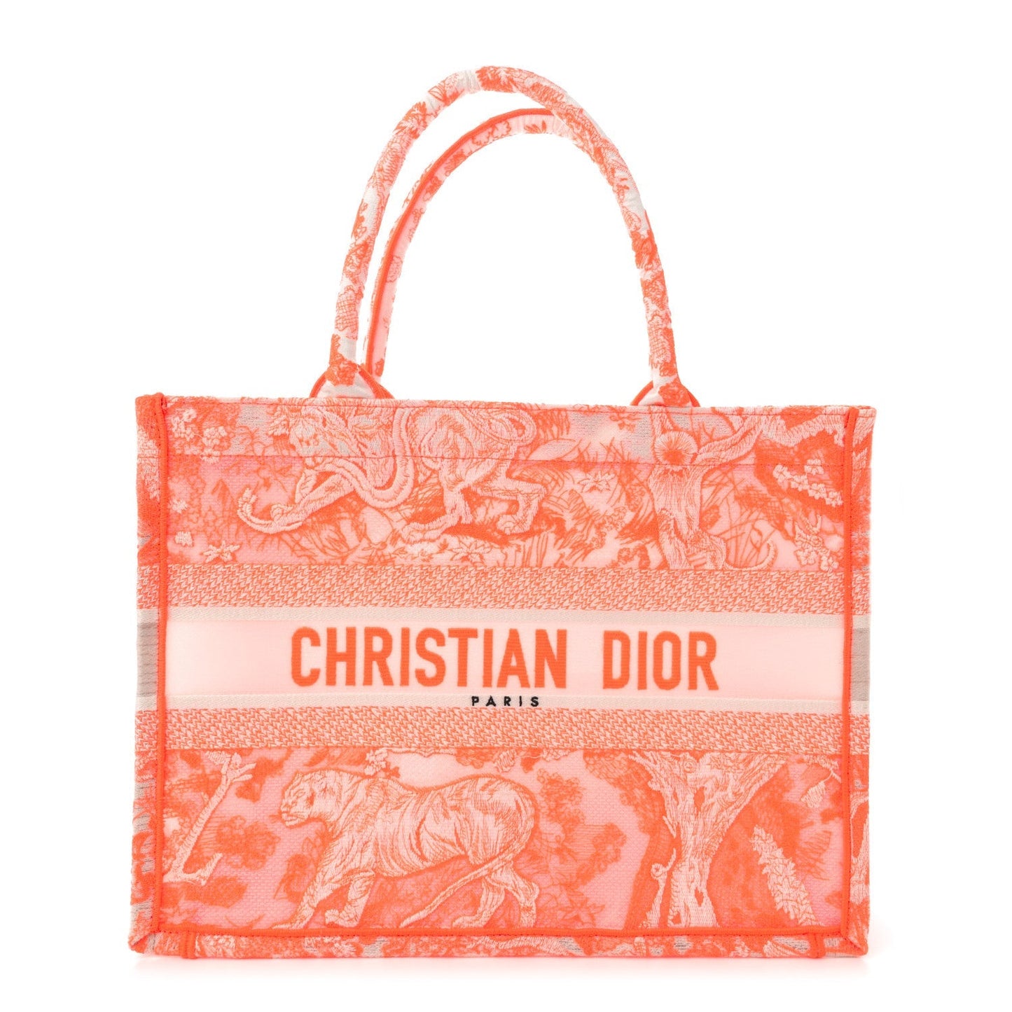 Transparent Canvas Embroidered Medium Dioriviera Toile De Jouy Book Tote