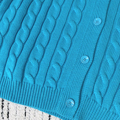 Loewe 2025 Knitted Embroidered Logo Button-Up Cardigan Blue Wool 289137